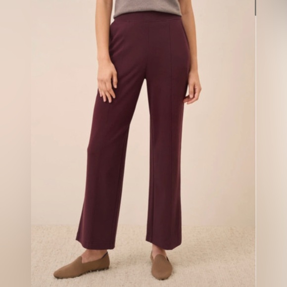 Pact Pants - ‼️NWOT: Pact Organic Burgundy Airplane Pin-tucked Wide Leg Pants - M